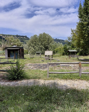 Area pic-pic riserva Tevere Nazzano