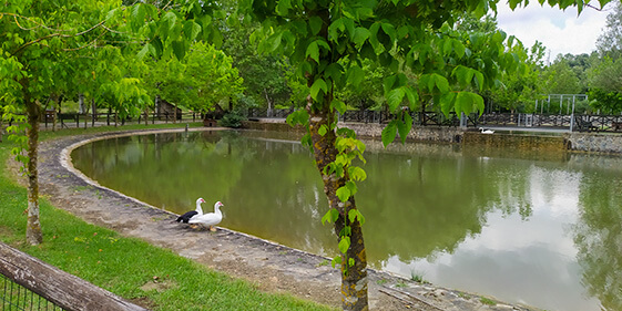 Oasi fiume Alento, un paradiso nel Cilento