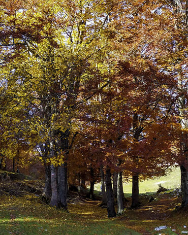 Autunno in Italia