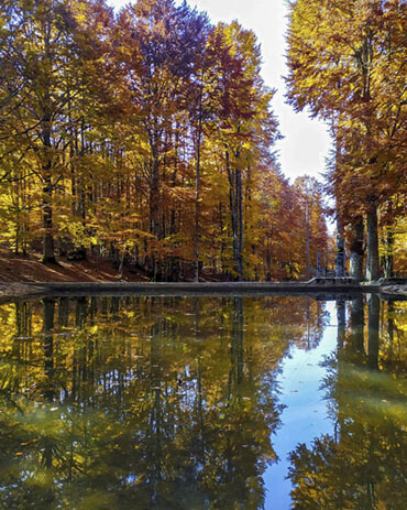 Foliage in Italia